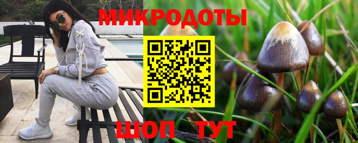 Галлюциногенные грибы ЛСД Ноябрьск