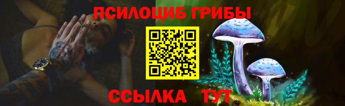 Ноябрьск  Галлюциногенные грибы Psilocybe  Вход с VPN 